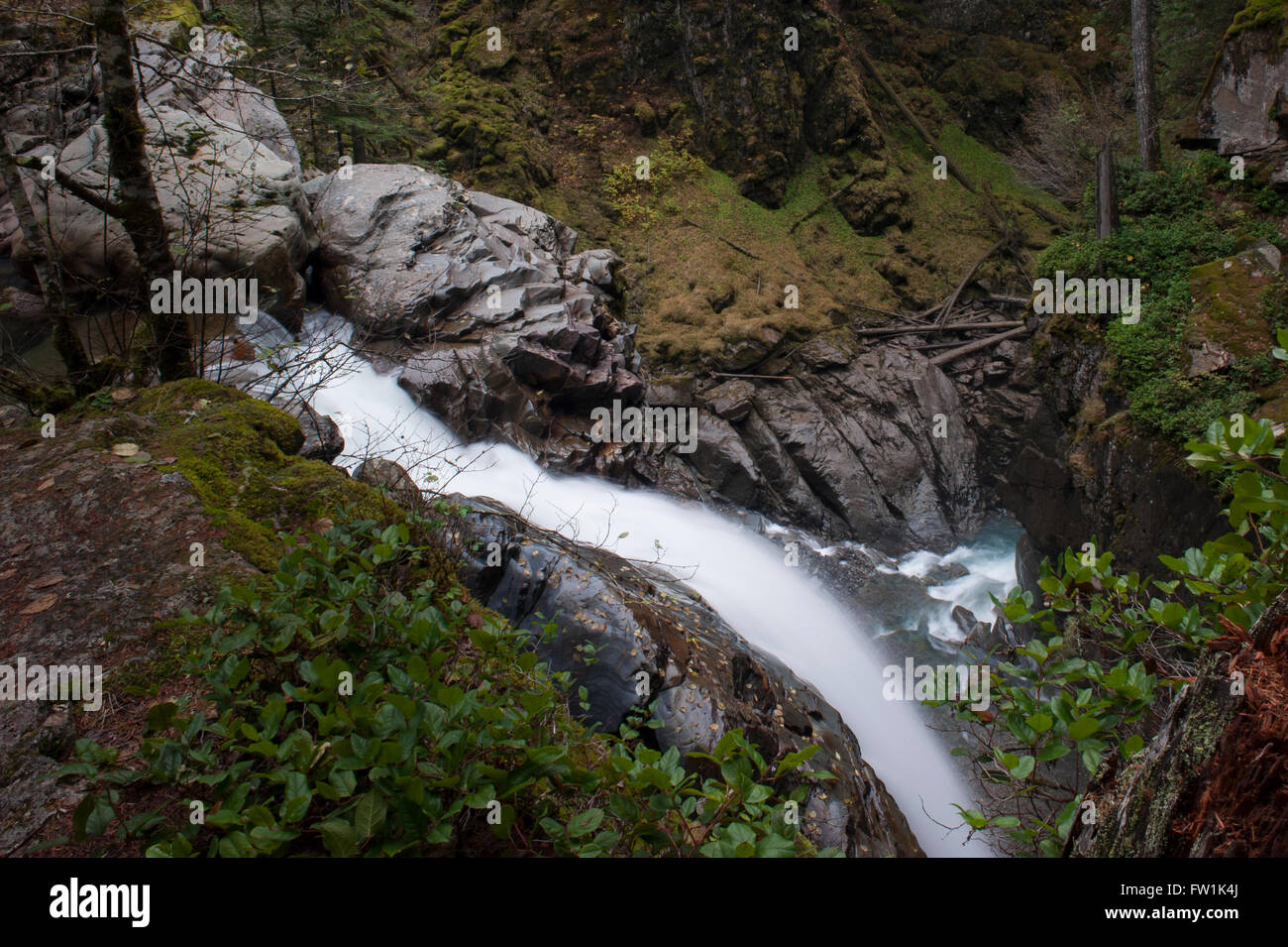 Nooksack Fluss und Nooksack Falls North Cascade Nationalpark Stockfoto