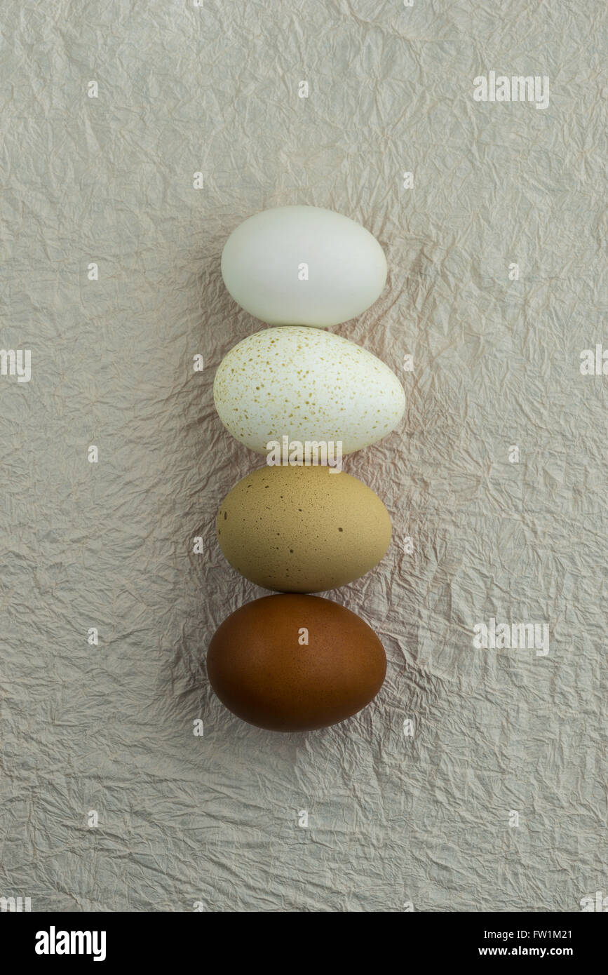 Verschiedenen gefärbten Eiern in natürlichen Farben Stockfoto