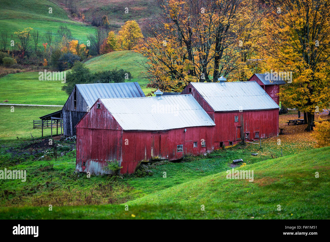 Rustikale rote Scheune in der Vermont-Landschaft. Stockfoto