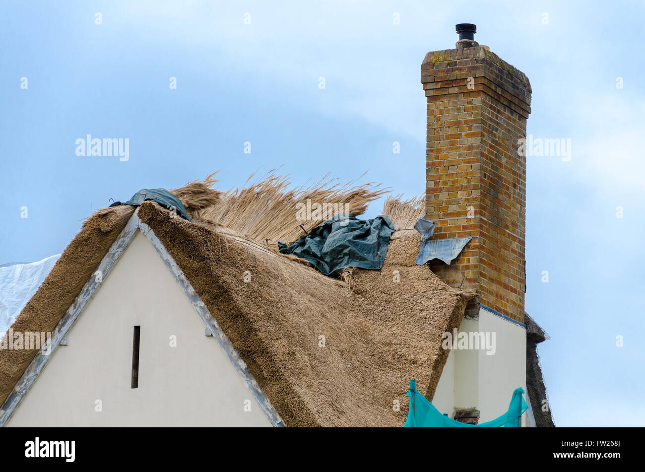 Haus in Lavenham wird rethatched Stockfoto