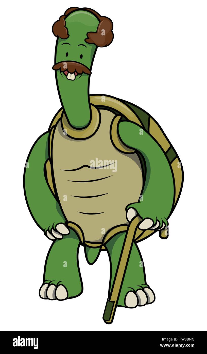 Alten Schildkrote Comic Illustration Stock Vektorgrafik Alamy