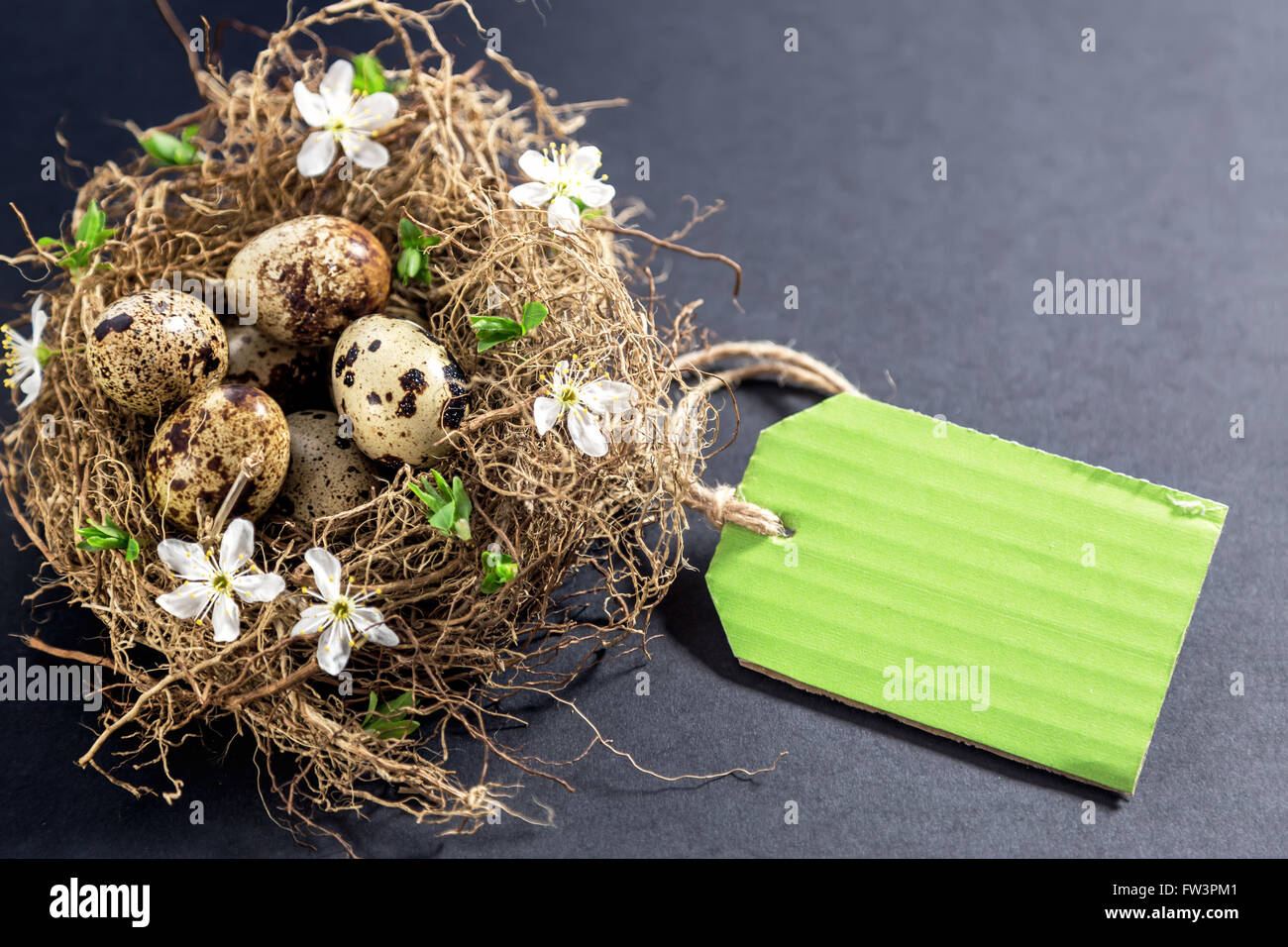 Wachtel Eier im Nest mit Blumen und Preis Stockfoto