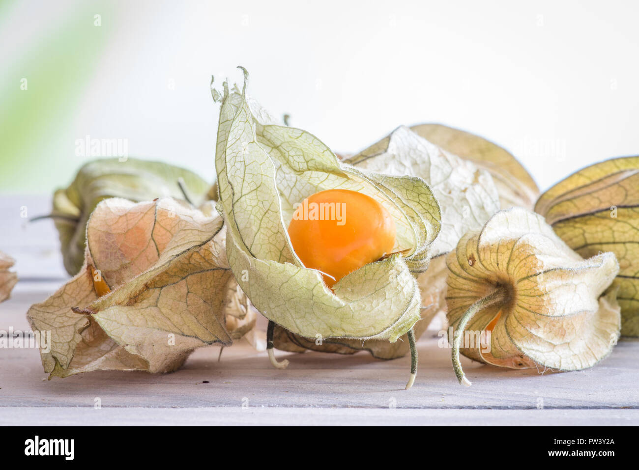 Physalis Peruviana Obst auf einem Holztisch Stockfoto