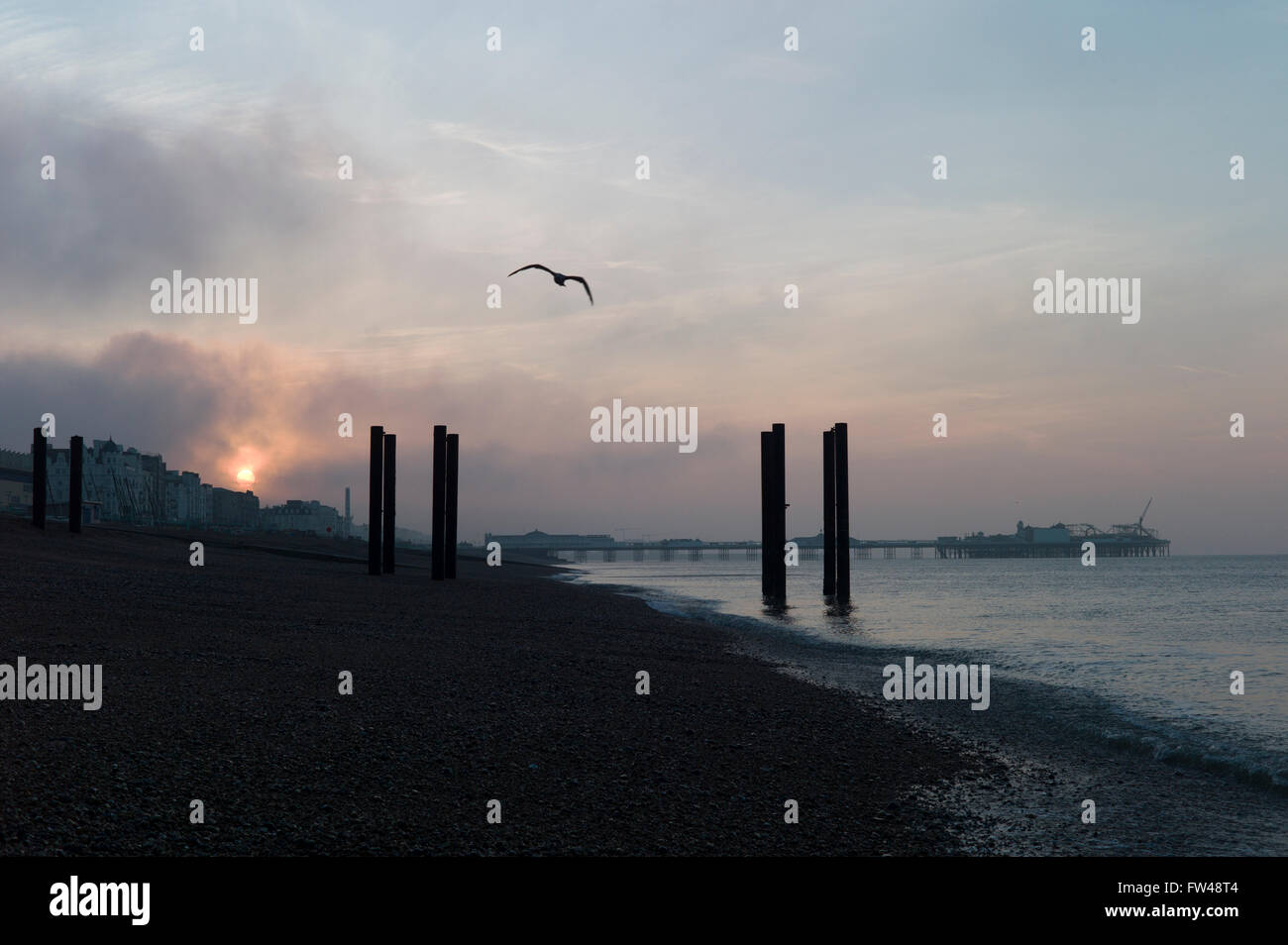 Möwen fliegen über Brighton Beach, nebligen Sonnenaufgang Stockfoto