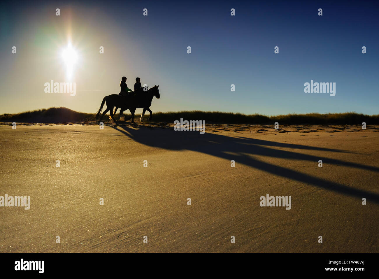 Pferd Reiter Silhouette Gegen Die Sonne Reiten Auf Einem Sandstrand Stockfotografie Alamy