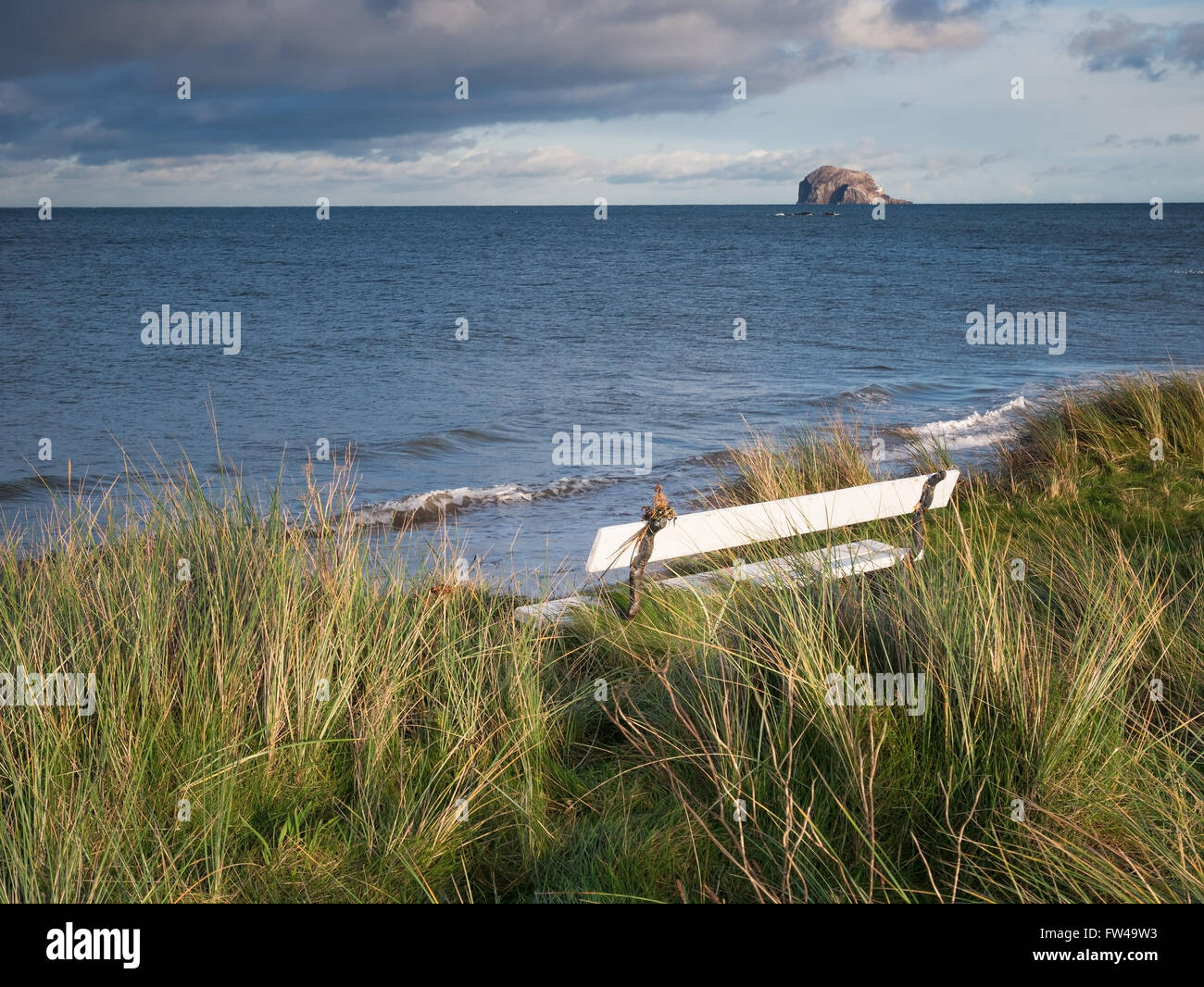 Eine Holzbank suchen unsere zum Meer und dem Bass Rock, North Berwick, Schottland. Stockfoto