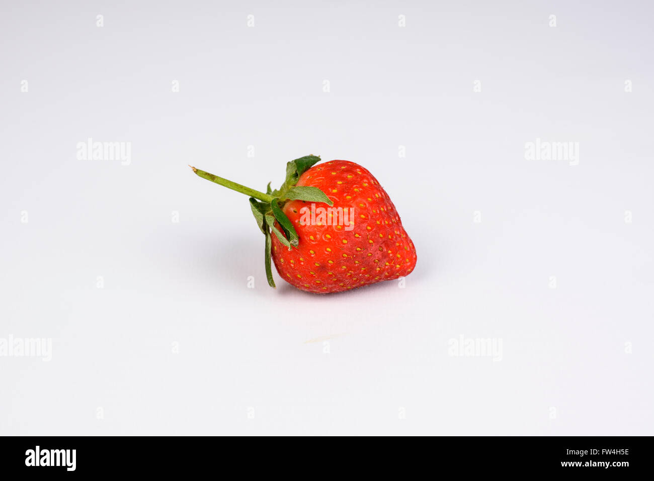 Frische Erdbeeren auf weißem Hintergrund Stockfoto