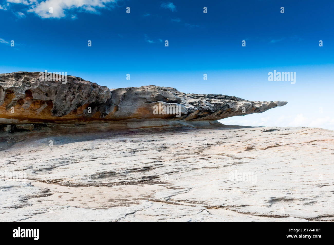 Felsformationen durch Wind und Wasser erodiert entlang der bondi Coastal Cliff Top Walk in den östlichen Vororten von Sydney Australien coogee. Stockfoto