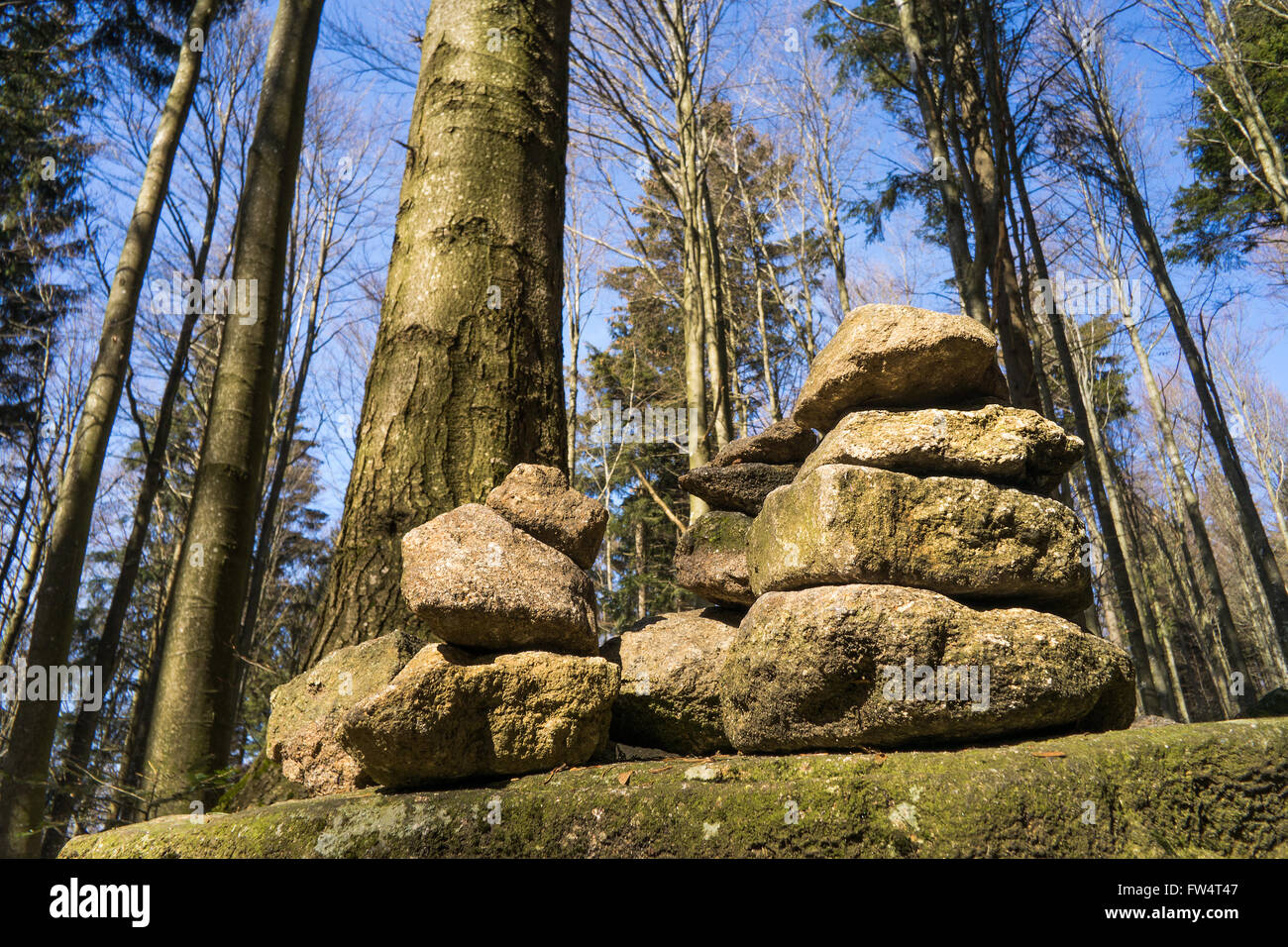 steinerne Türme im Wald Bayern Bayern Deutschland, Balance Wellness Harmonie Symbol symbolische Kunst künstlerisch Steinplatte noch Stockfoto