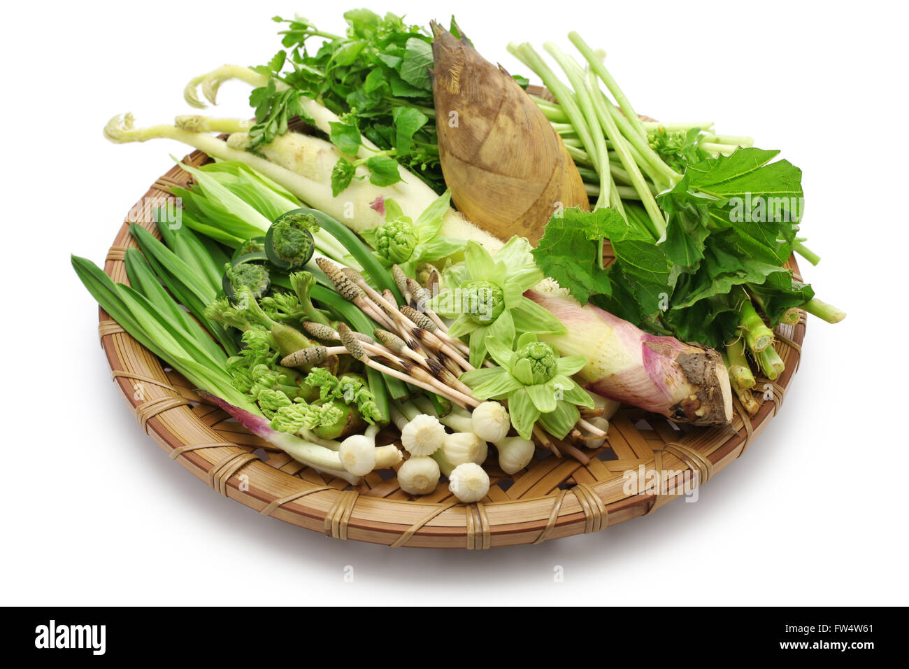 häufig werden die Odds als Zutaten in Shojin Ryori (buddhistische vegetarische Küche). Stockfoto