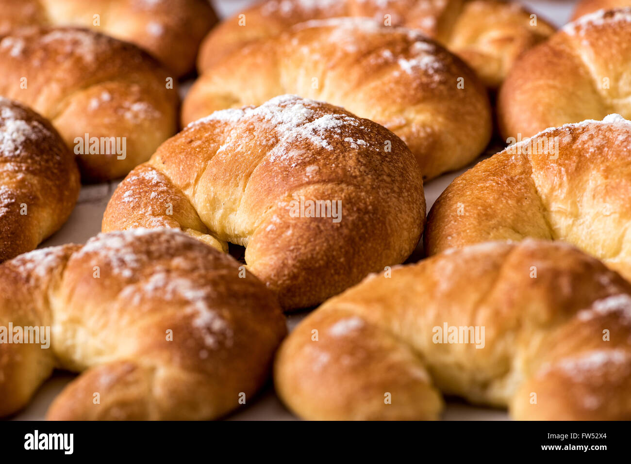 Frisch gebackenen Brioche Brötchen gemacht mit einer leicht süßlichen Teig mit Eiern in einem niedrigen Winkel full-Frame-Nahaufnahme Stockfoto