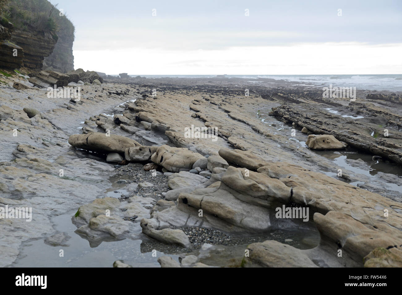 Erodierte Gesteinsschichten sind bei Ebbe am Strand West Coast, Südinsel, Neuseeland ausgesetzt. Stockfoto
