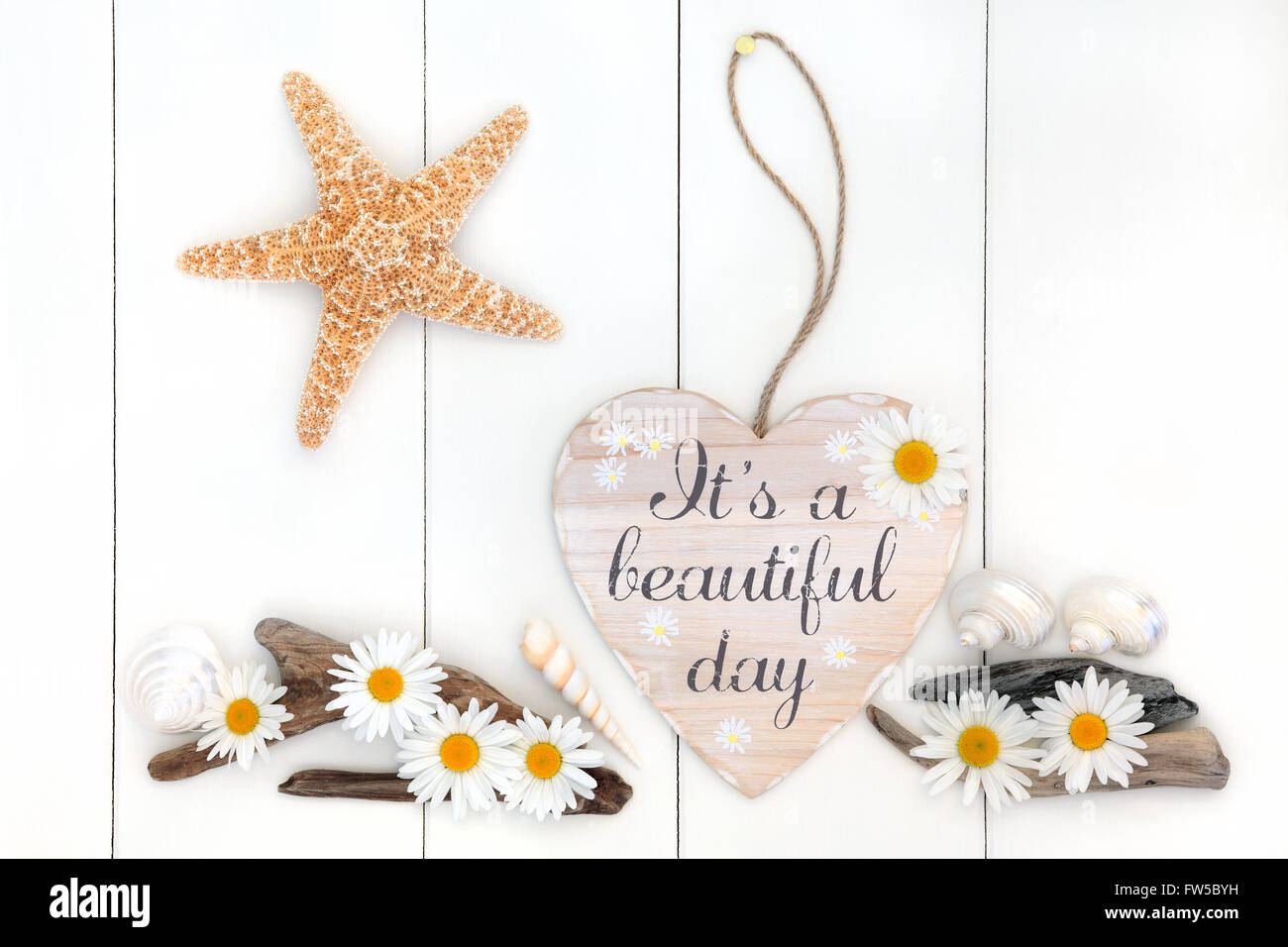 Seine notleidende Schild mit Blumen-Gänseblümchen, Treibholz, Seesterne und Meer Muscheln herzförmige für ein schöner Tag. Stockfoto