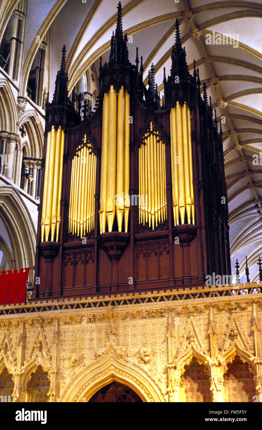 Orgel mit 5000 Pfeifen in Lincoln Kathedrale von Vater Henry Willis 1898 hergestellt. Blick vom West End. Stockfoto