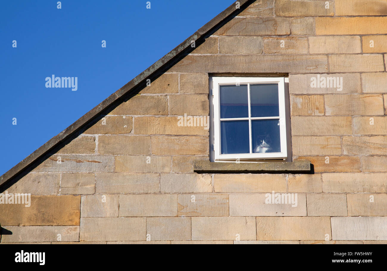 Katze saß im Fenster "Hutton-le-Hole" Stockfoto