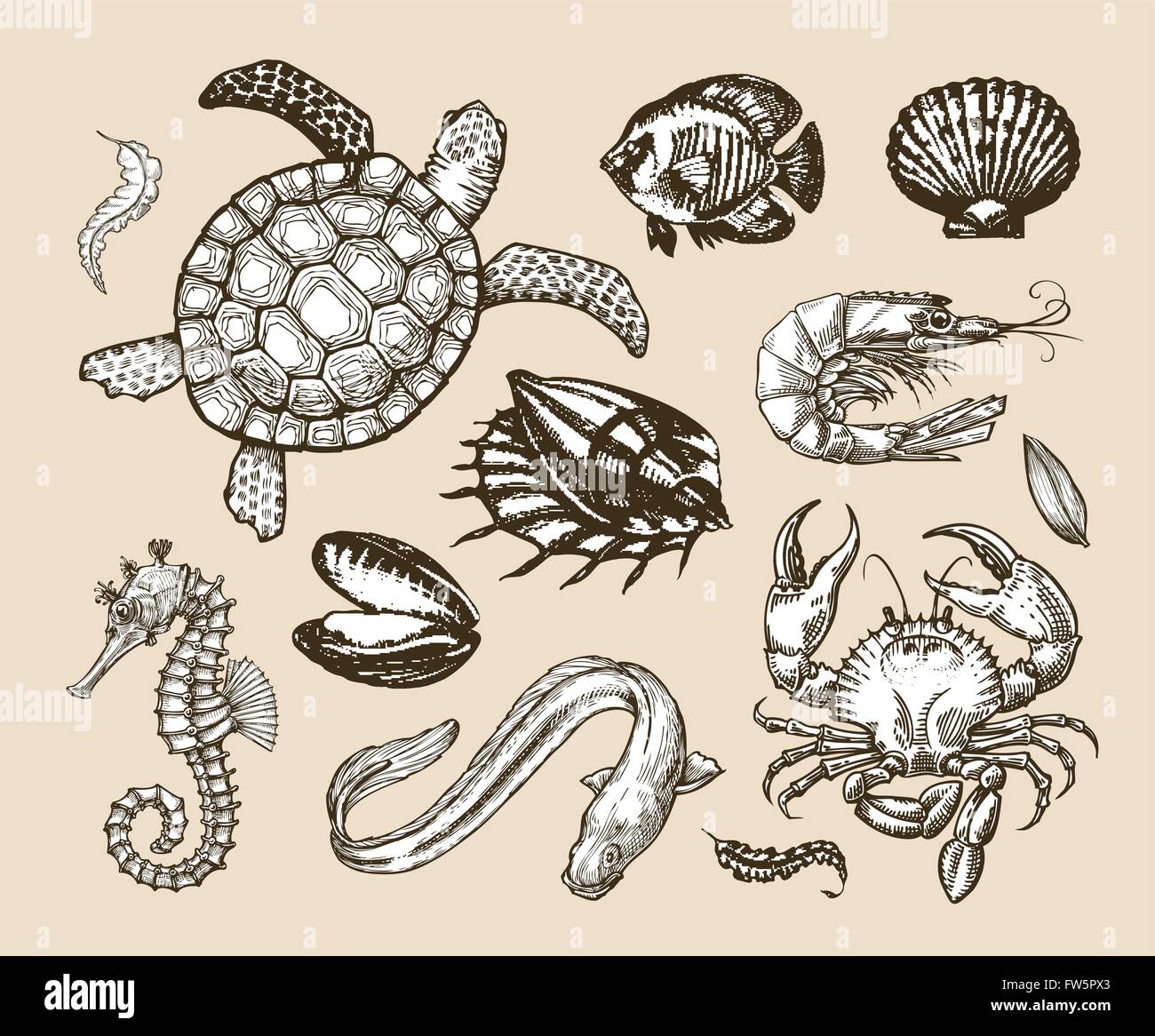 Hand gezeichnete Skizze festlegen von Meeresfrüchten, Meerestiere. Vektor-illustration Stock Vektor