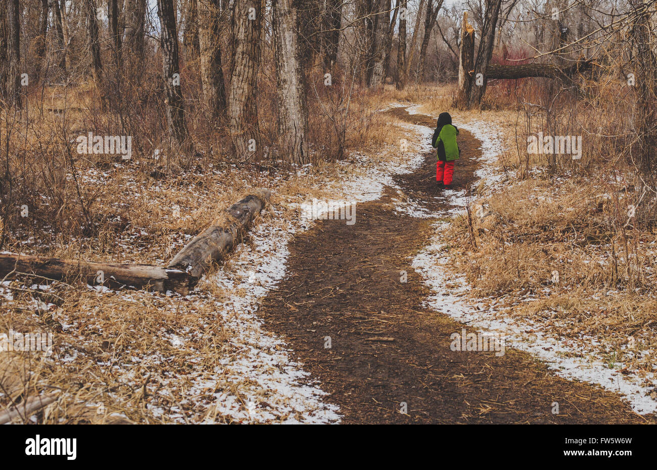 Junge ca. 6-7 Jahre alt, zu Fuß auf den Weg durch den Wald. Stockfoto