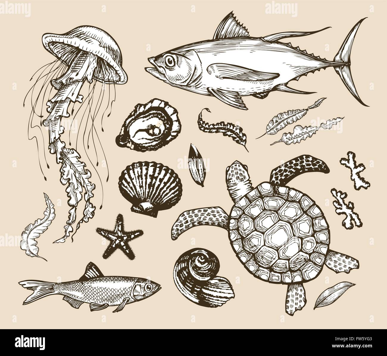 Hand gezeichnete Skizze set Meerestiere, Tierwelt. Vektor-illustration Stock Vektor