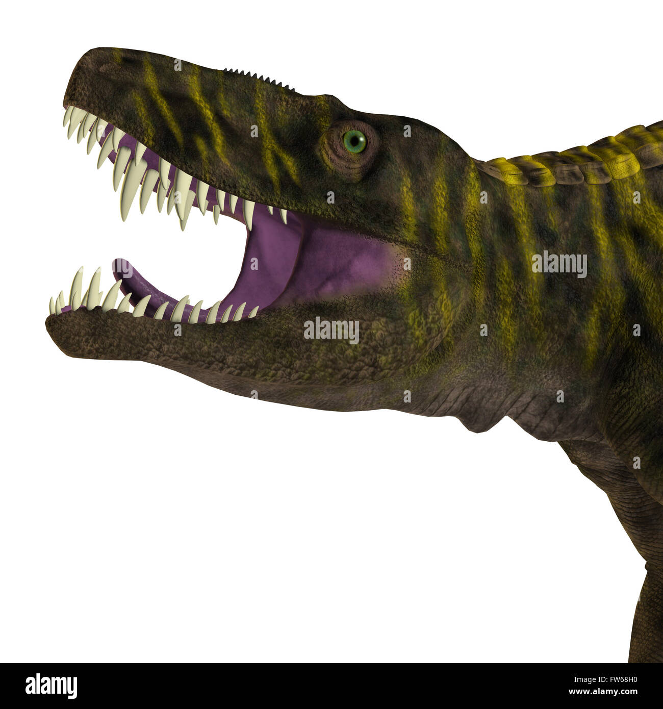 Batrachotomus kupferzellensis Fotos und Bildmaterial in hoher