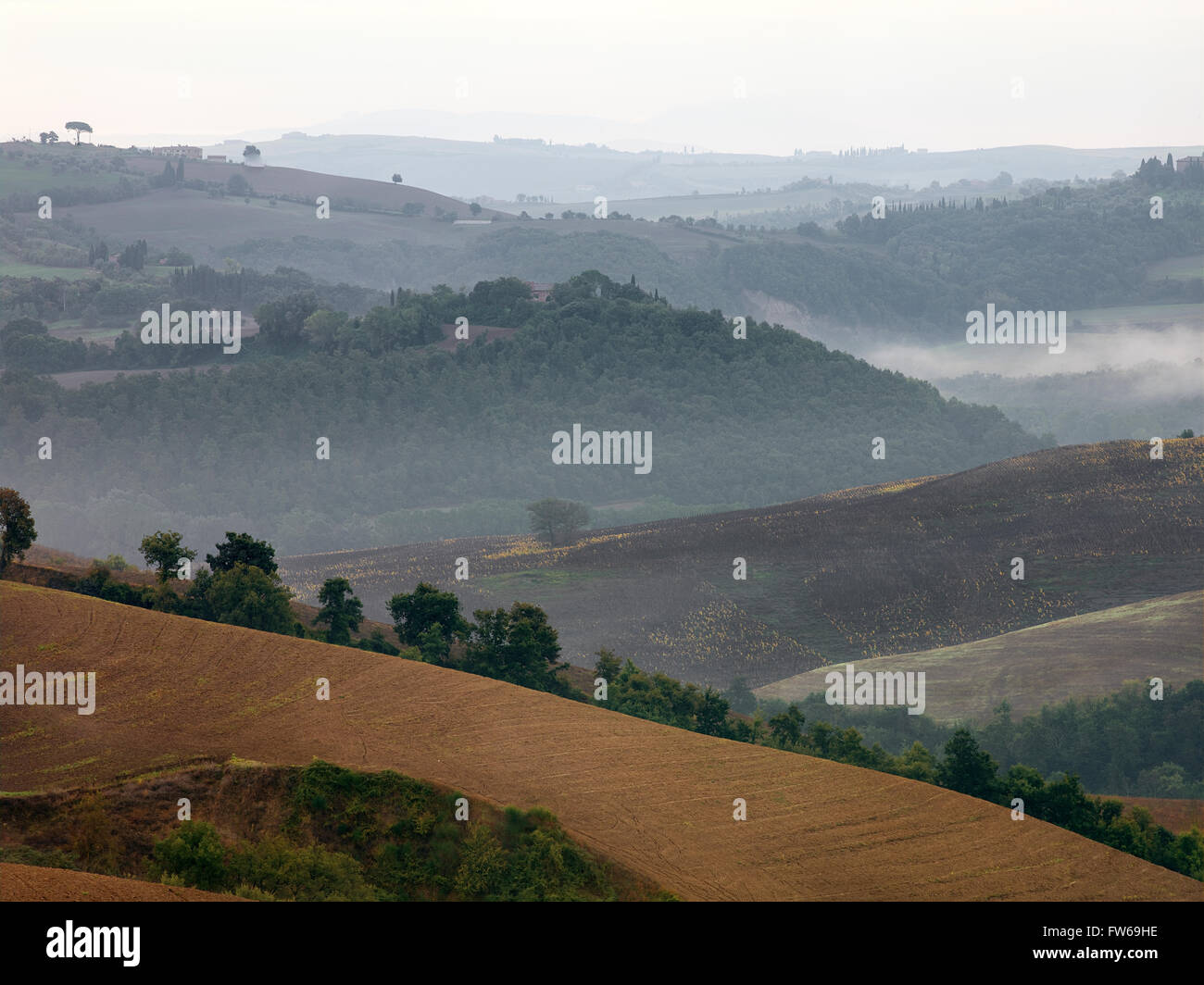 Mutted mit Blick auf die nördliche italienische Landschaft im Morgennebel. Stockfoto