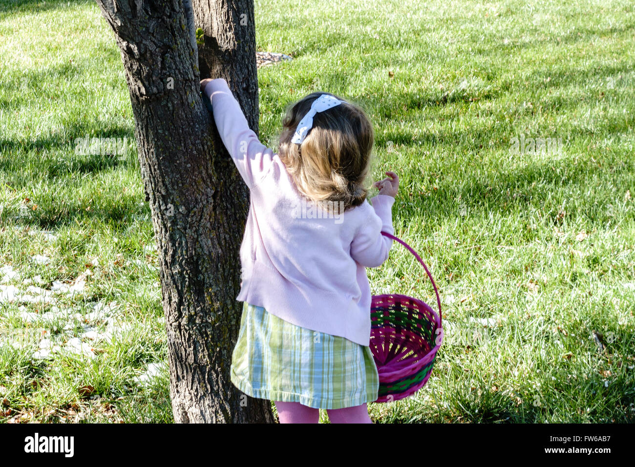 Ein zweijähriges kaukasisches Kleinkind jagt Ostereier und findet eines im Schritt eines Baumes. Stockfoto