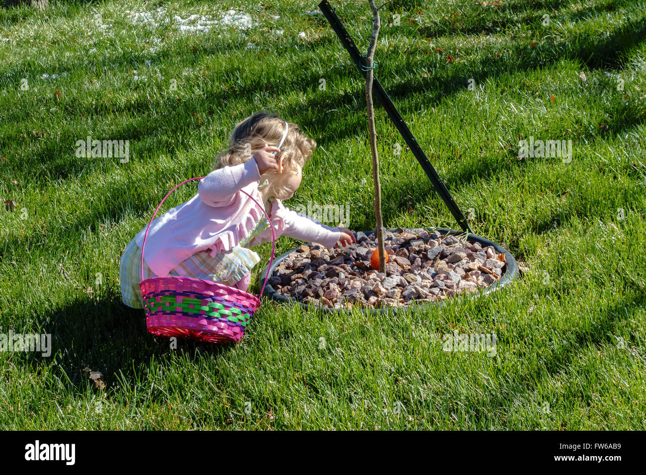 Ein zwei Jahre altes kaukasisches Kleinkind Mädchen greift nach einem Ei während einer Ostereiersuche im Freien. Stockfoto