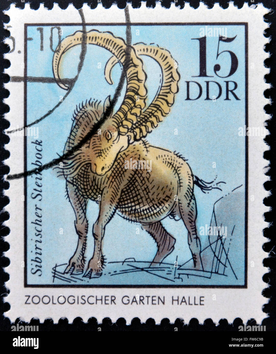 Deutschland - ca. 1975: A Briefmarke gedruckt in DDR zeigt sibirischen Gämsen, Halle, deutschen Zoologischen Gärten, ca. 1975 Stockfoto