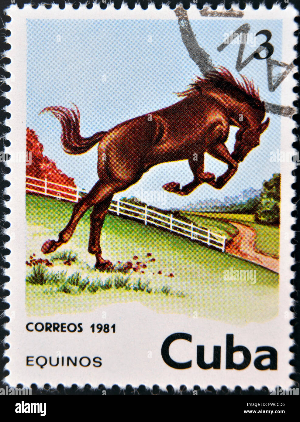 Kuba - ca. 1981: Eine Briefmarke gedruckt in Kuba zeigt eine Pferd, ca. 1981 Stockfoto