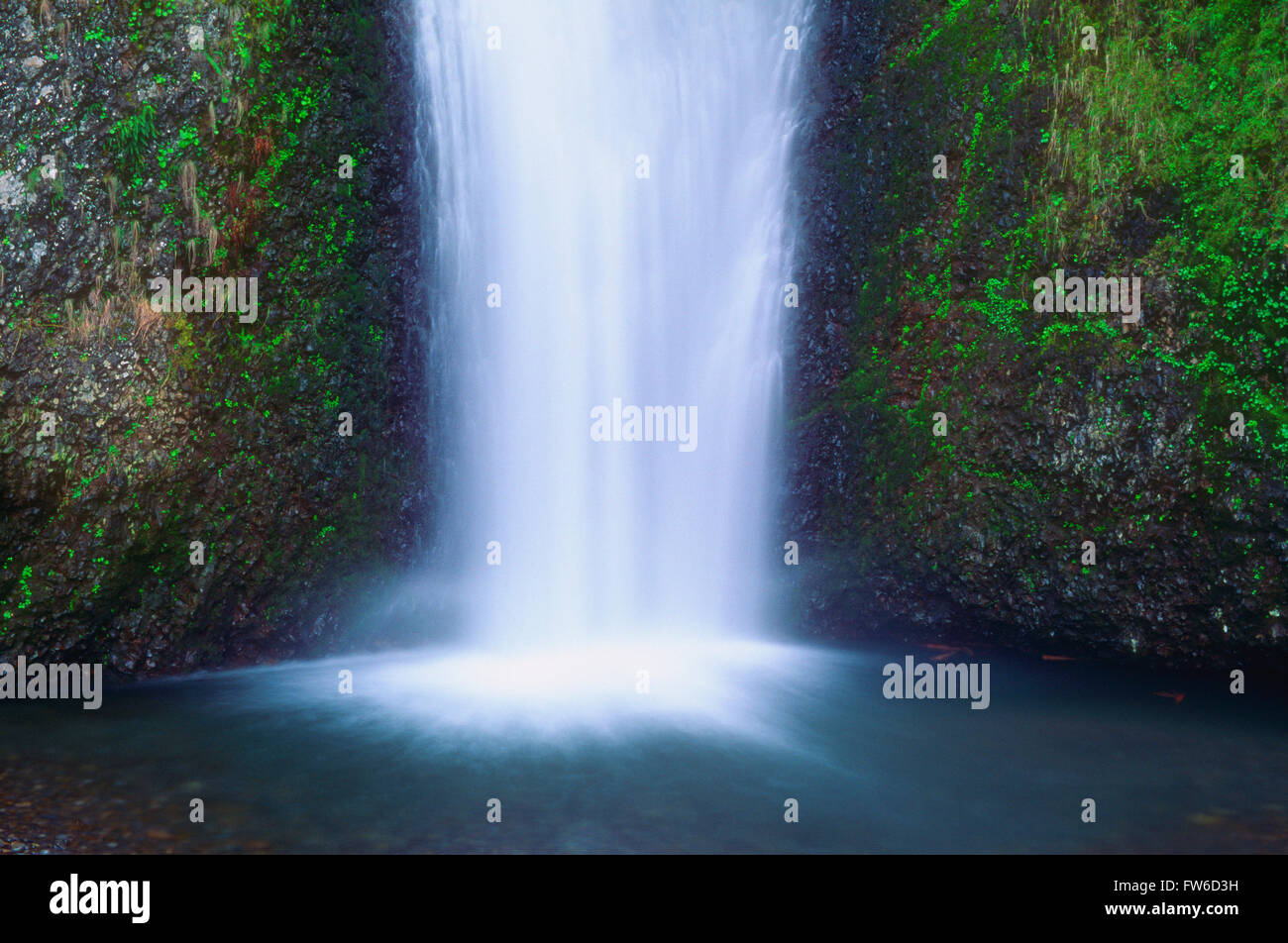 Multnomah Falls, Columbia River Gorge, Oregon, Vereinigte Staaten von Amerika Stockfoto