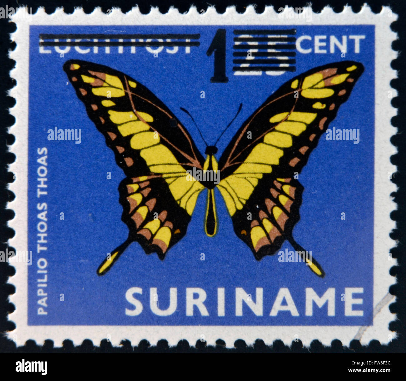 SURINAME - CIRCA 1980: Eine Briefmarke gedruckt in Surinam zeigt einen Schmetterling, Papilio Thoas Thoas, ca. 1980 Stockfoto
