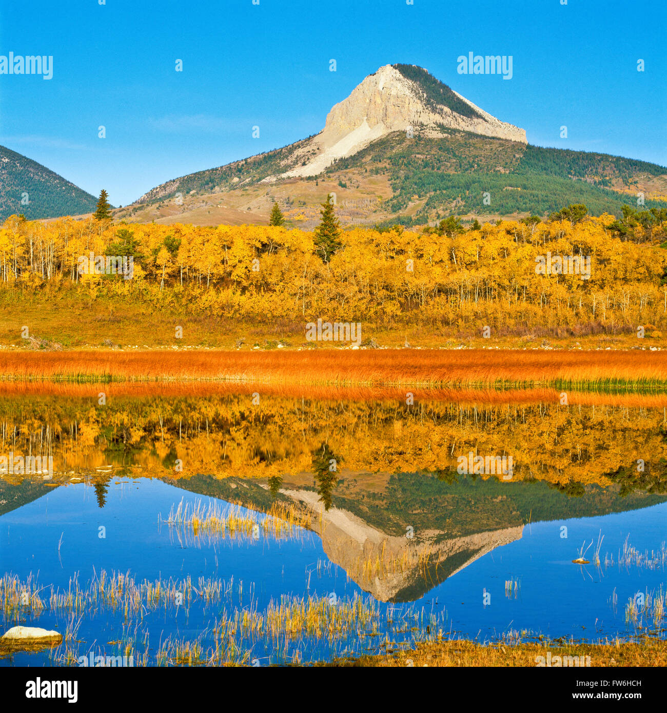 Herz-Butte und Herbstfarben spiegeln sich in einem Teich in der Nähe von Herzen Butte, montana Stockfoto