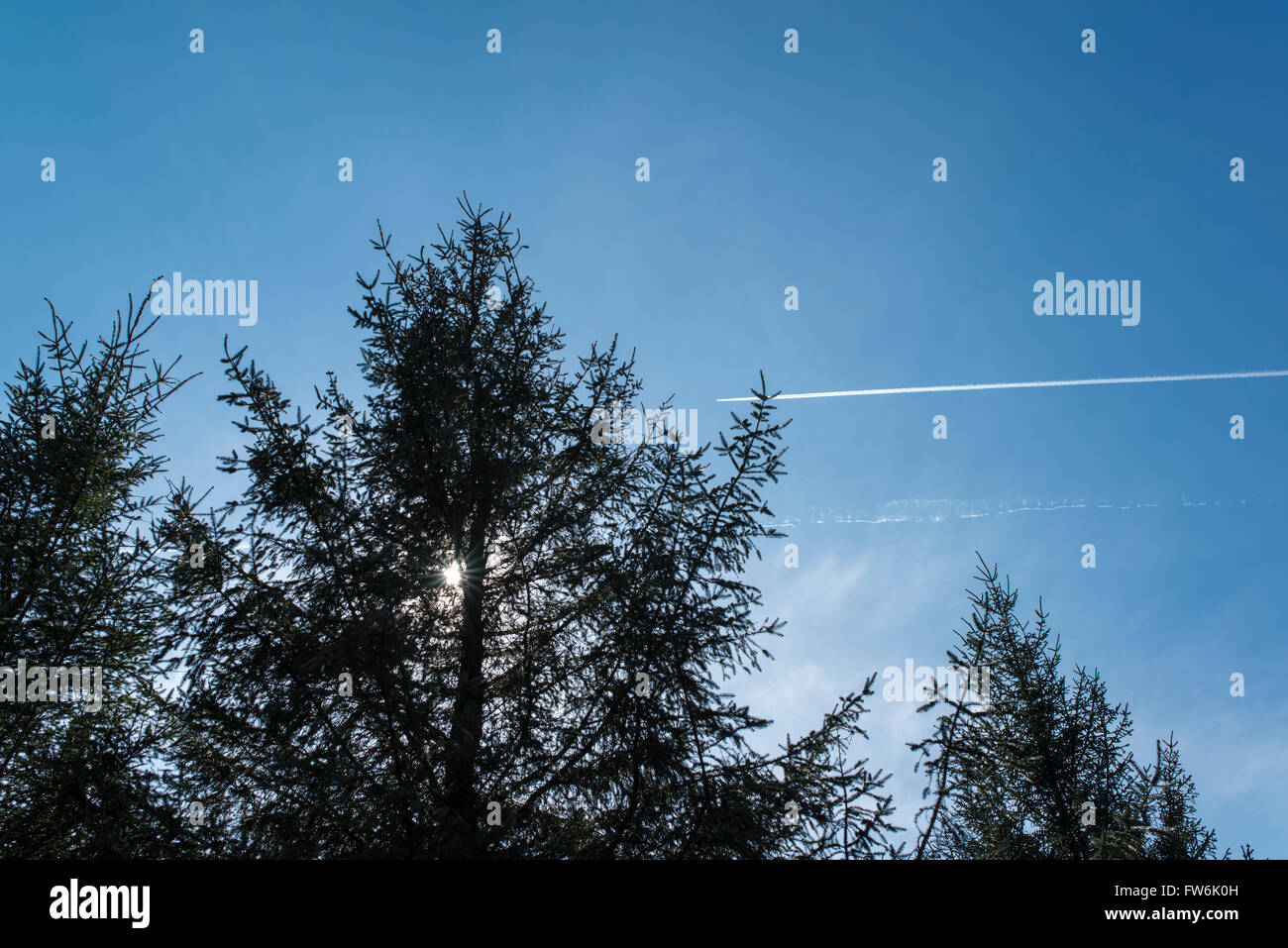 Flugzeug und Kondensstreifen am blauen Himmel, die Sonne hinter Silhouette Bäumen. Stockfoto