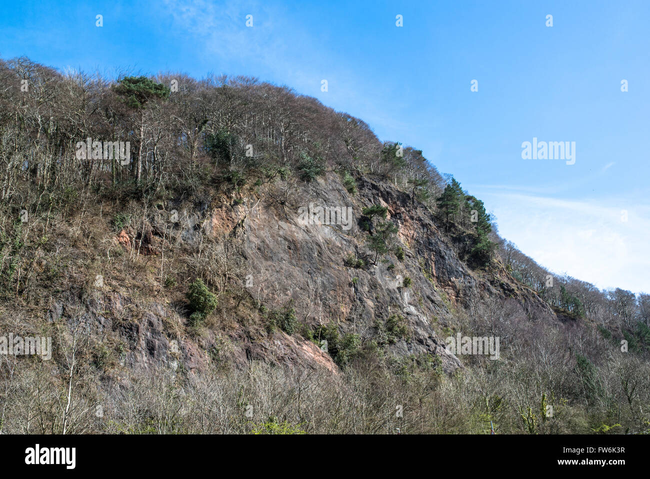 Eine Felswand mit einem Wald entlang des Grates. Stockfoto