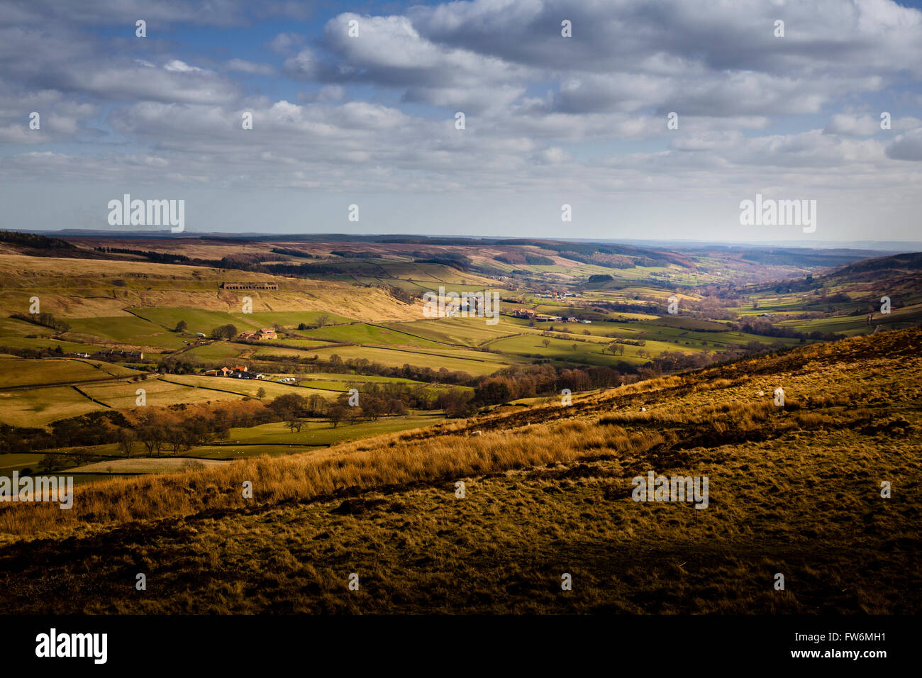 North York Moors Landschaft Stockfoto