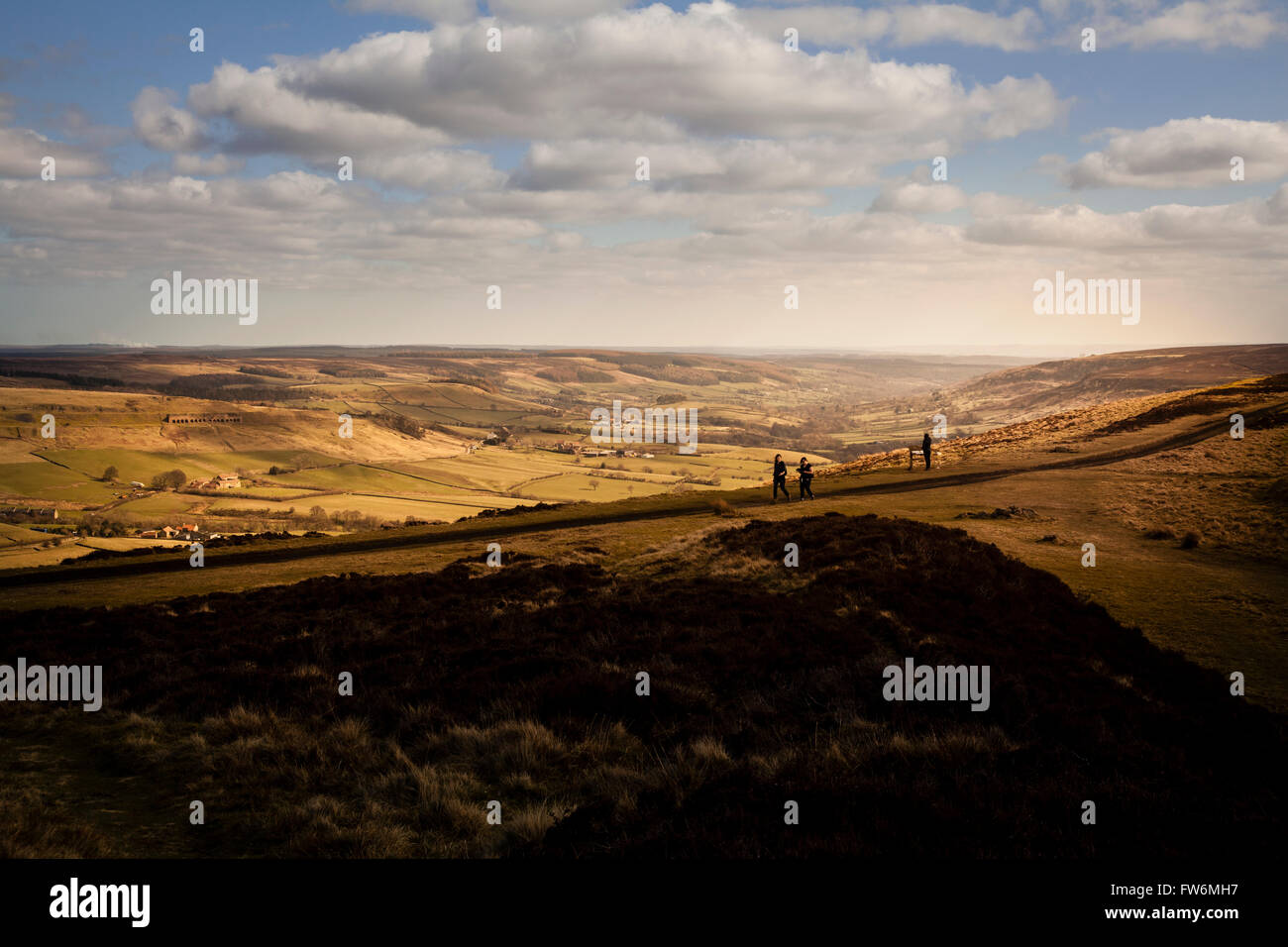 North York Moors National Parklandschaft Stockfoto