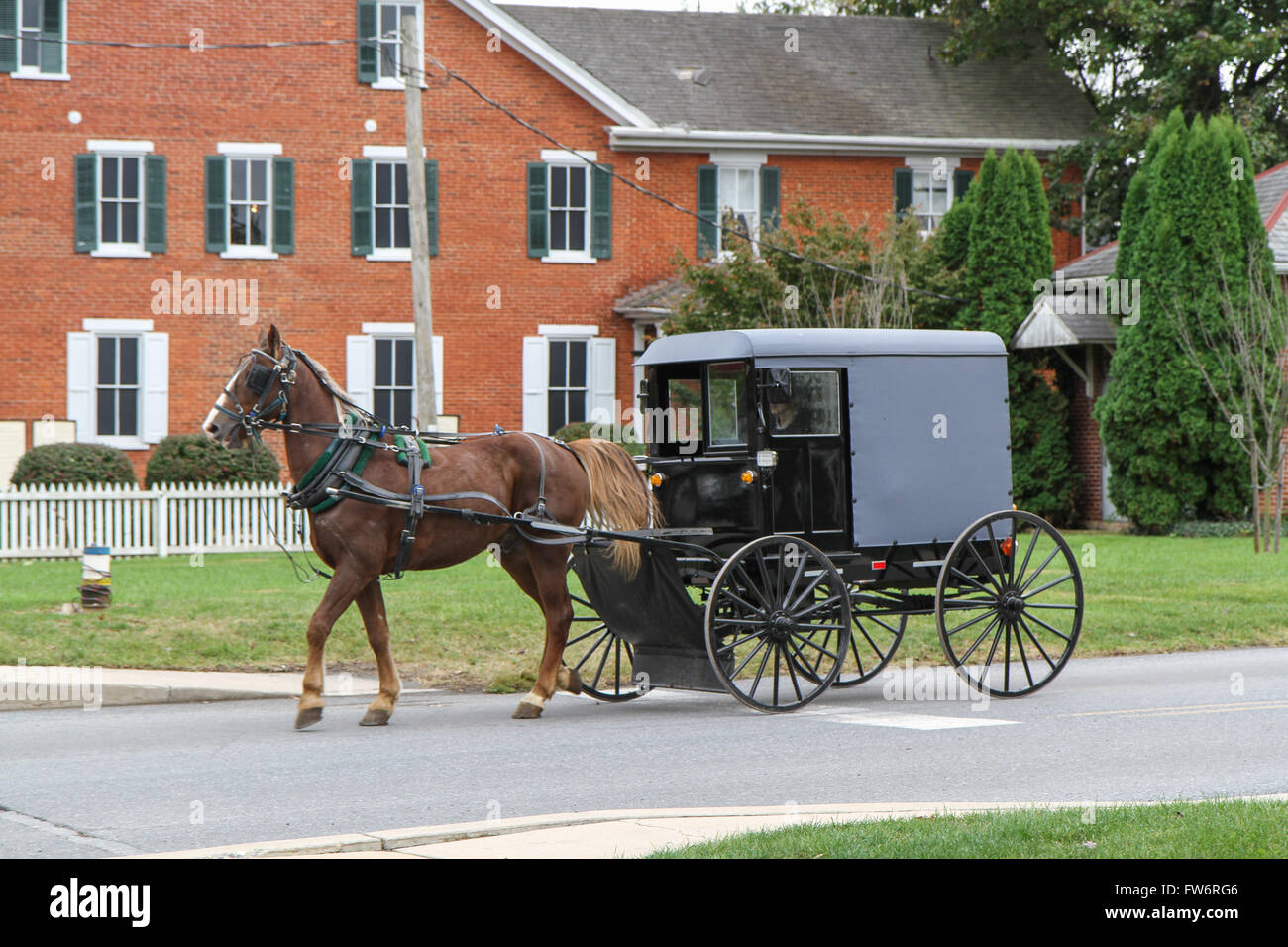 Amish Pferdekutsche Stockfoto
