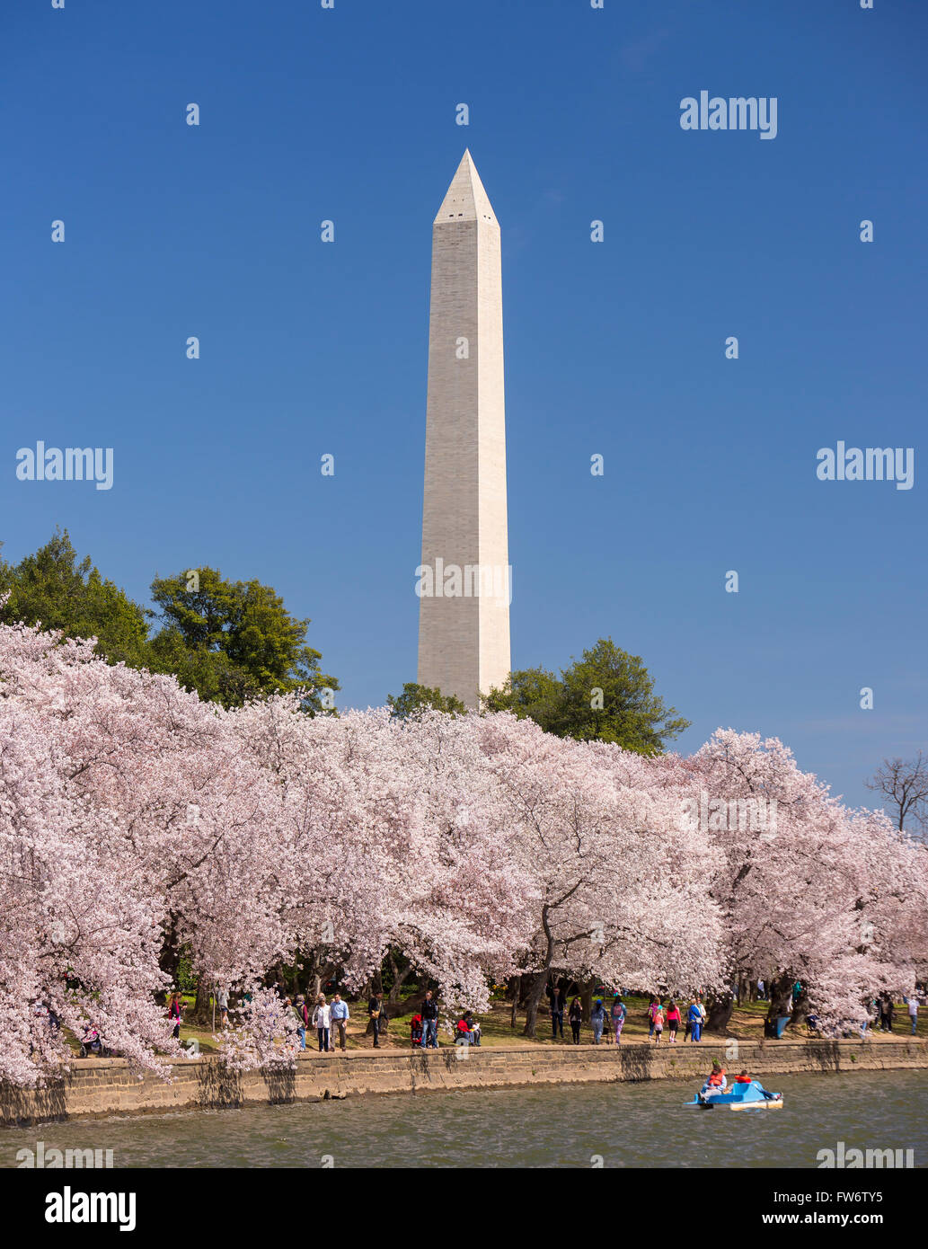 WASHINGTON, DC, USA - Kirschbäumen blüht am Tidal Basin und Washington Monument. Stockfoto