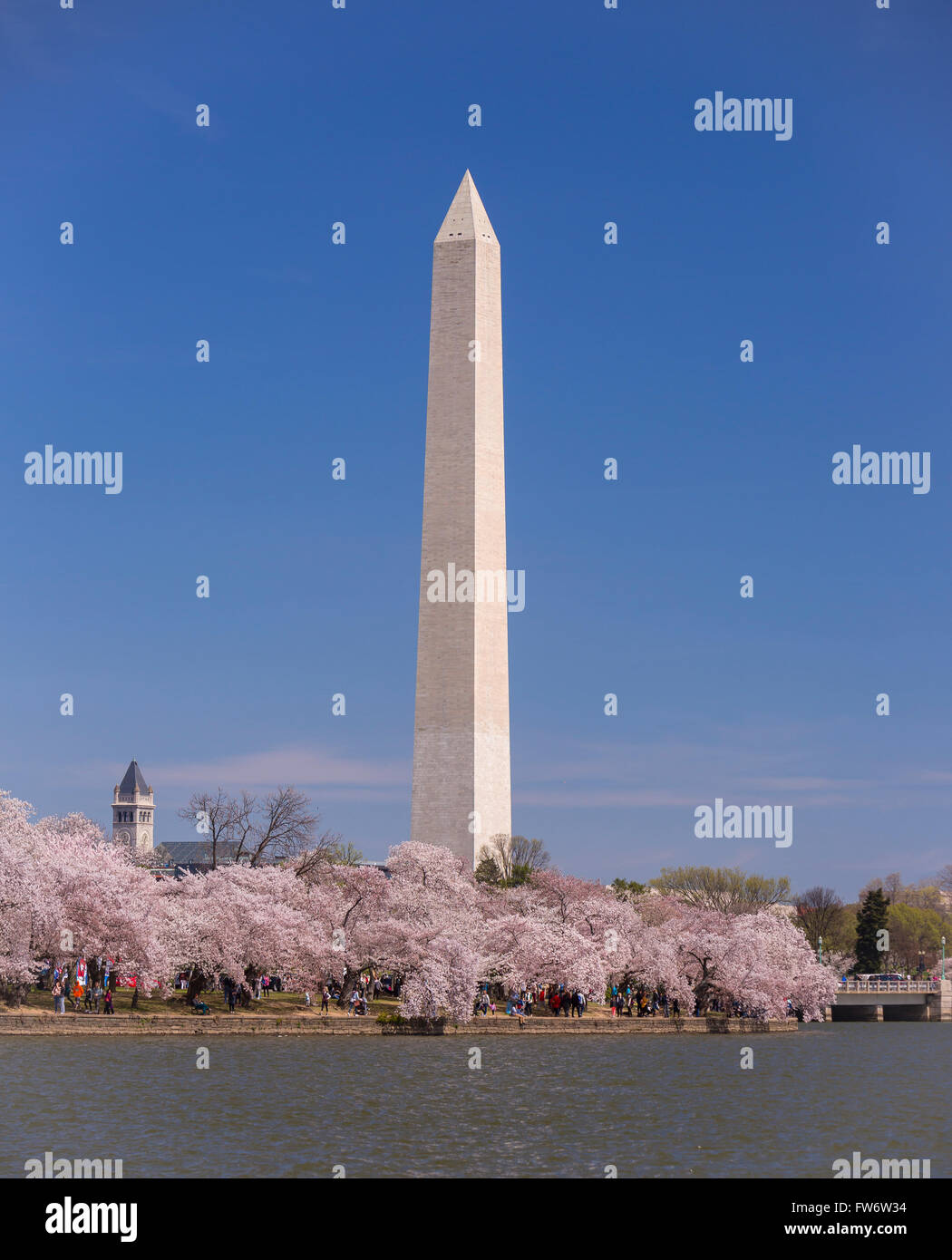 WASHINGTON, DC, USA - Kirschbäumen blüht am Tidal Basin und Washington Monument. Stockfoto