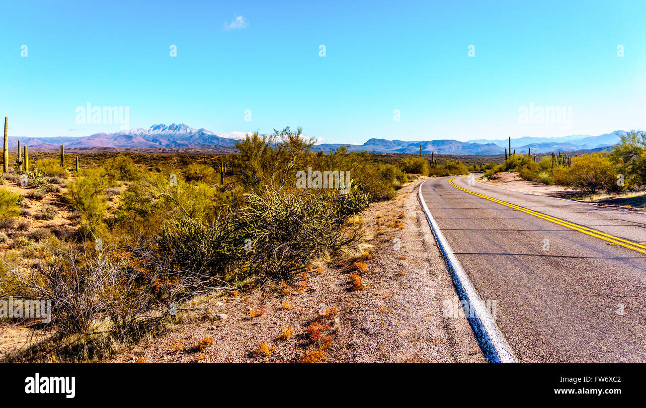 Halb Wüste Region von Zentral-Arizona im Gebüsch und Saguaro Kakteen bedeckt Stockfoto