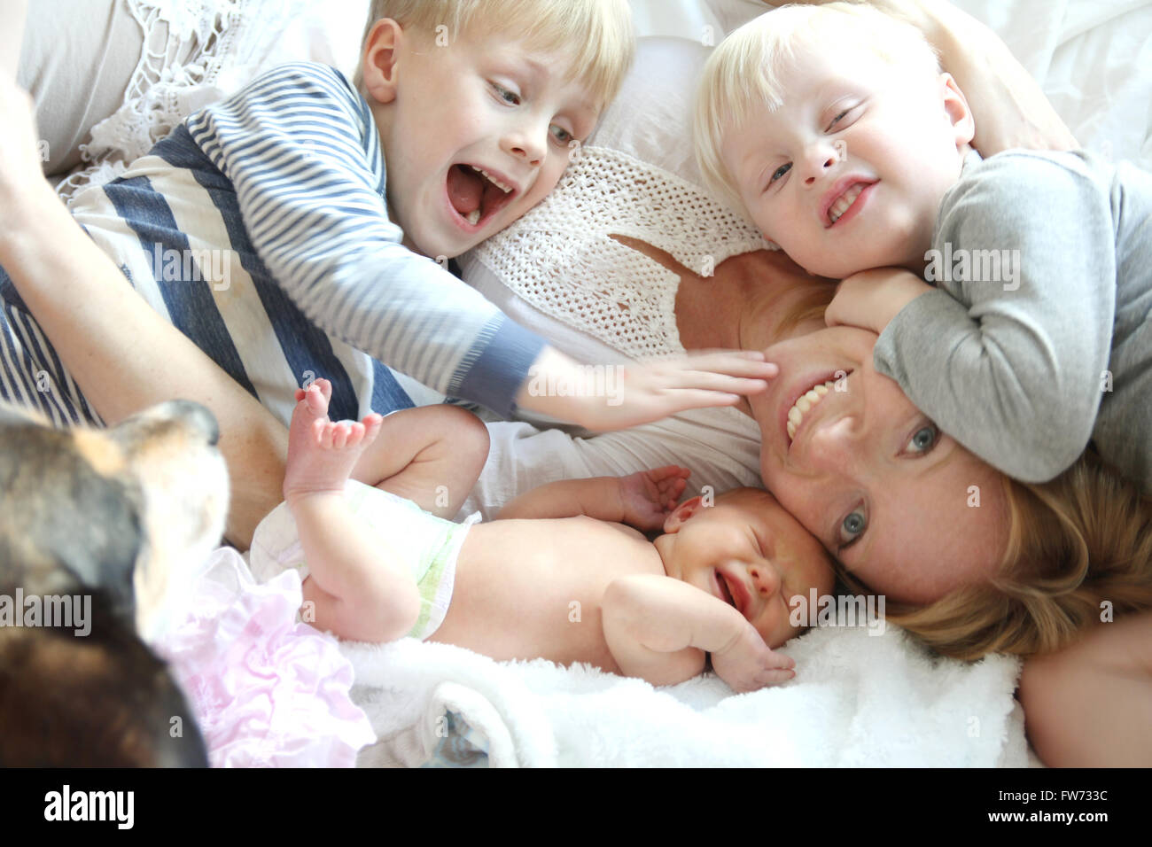 Eine glückliche junge Mutter ist auf dem Bett mit ihren drei kleinen Kindern, zwei wilde Jungs und ein neugeborenes Mädchen, als ihren Hund legen. Stockfoto