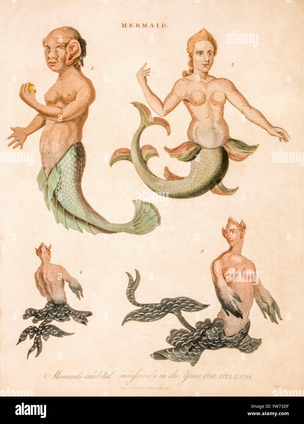 Meerjungfrauen, eine Platte aus dem Lexikon Londinensis, 1817 Stockfoto