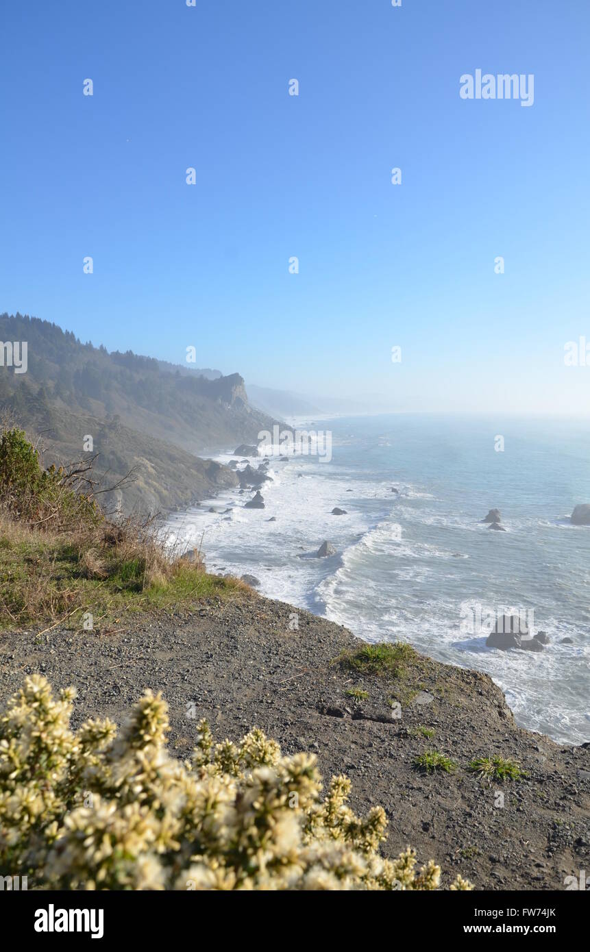 Eine Szene aus der Pacific Coast Highway, Nord-Kalifornien, USA Stockfoto