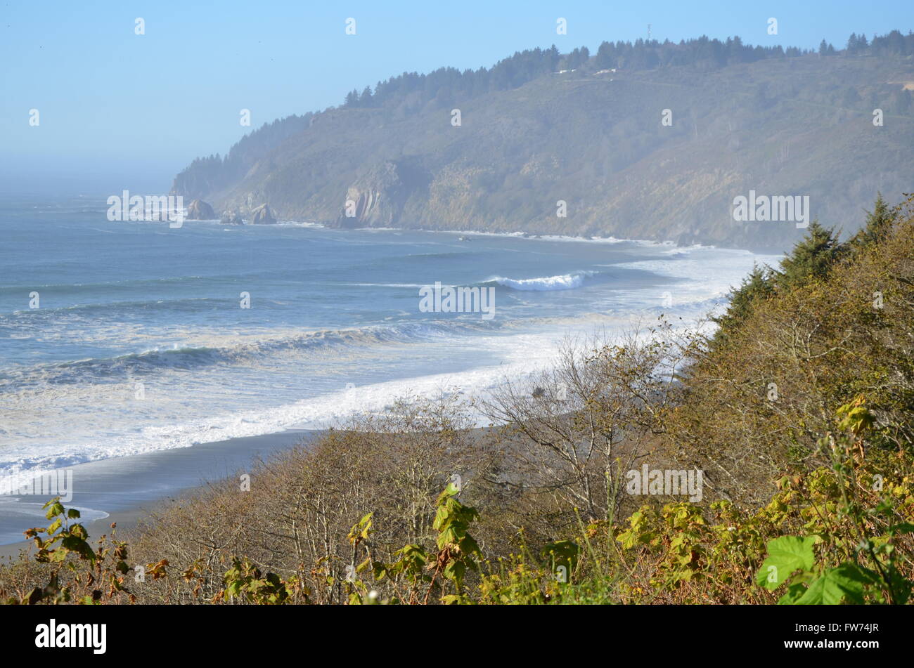 Eine Szene aus der Pacific Coast Highway, Nord-Kalifornien, USA Stockfoto