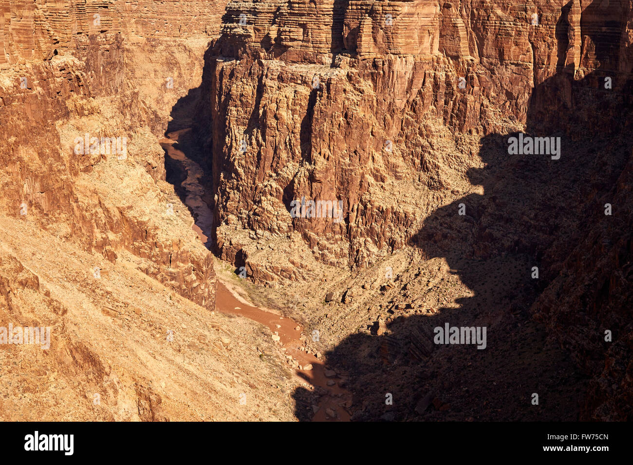 Canyon des Little Colorado River, in der Nähe von Page, Arizona, USA Stockfoto