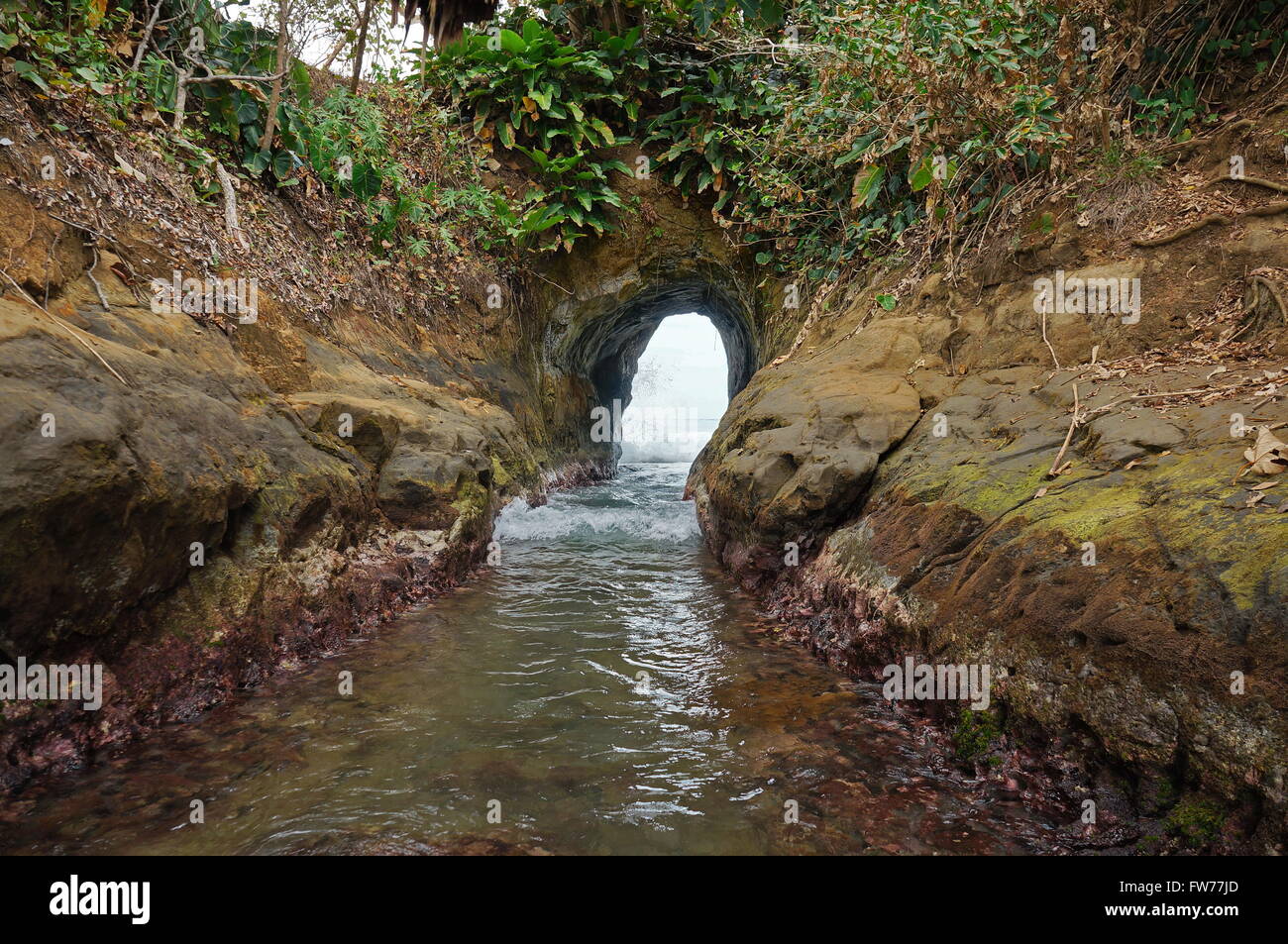 Natürlicher Tunnel gegraben von Meereswellen, Punta Uva, Limon, Karibikküste von Costa Rica, Mittelamerika Stockfoto