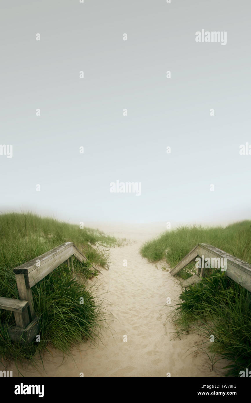 Sandy Weg im Nebel Stockfoto