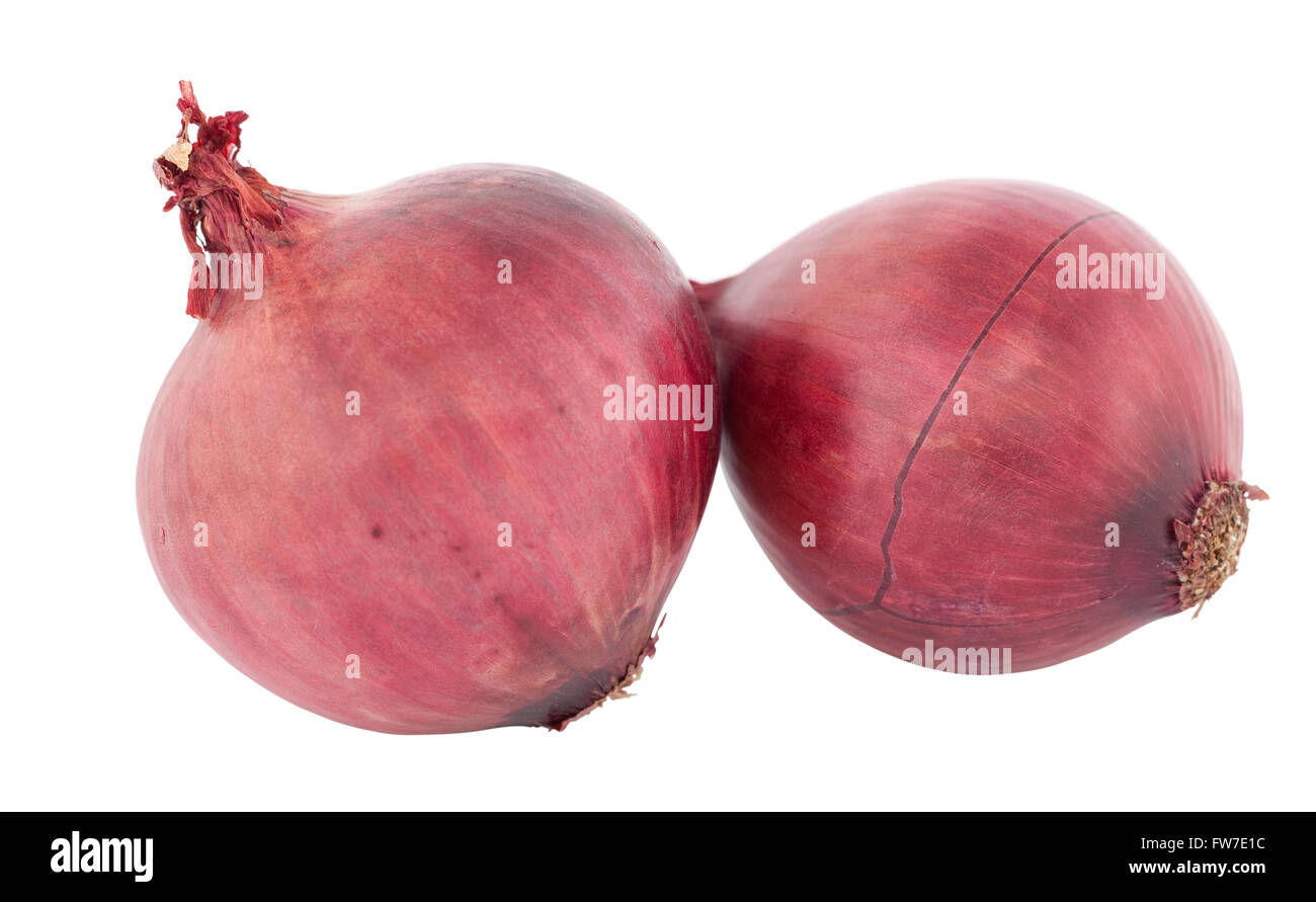 zwei ganze rote Zwiebel auf weißem Hintergrund Stockfoto