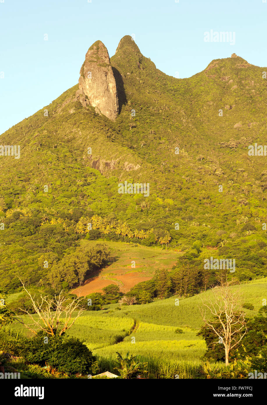 Ostküste-Landschaft auf der Insel Mauritius. Stockfoto