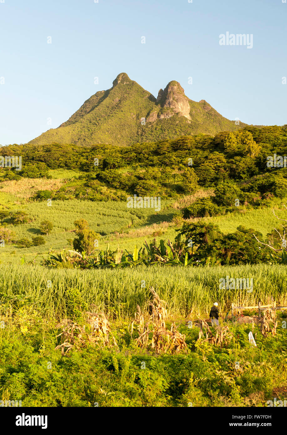 Ostküste-Landschaft auf der Insel Mauritius. Stockfoto