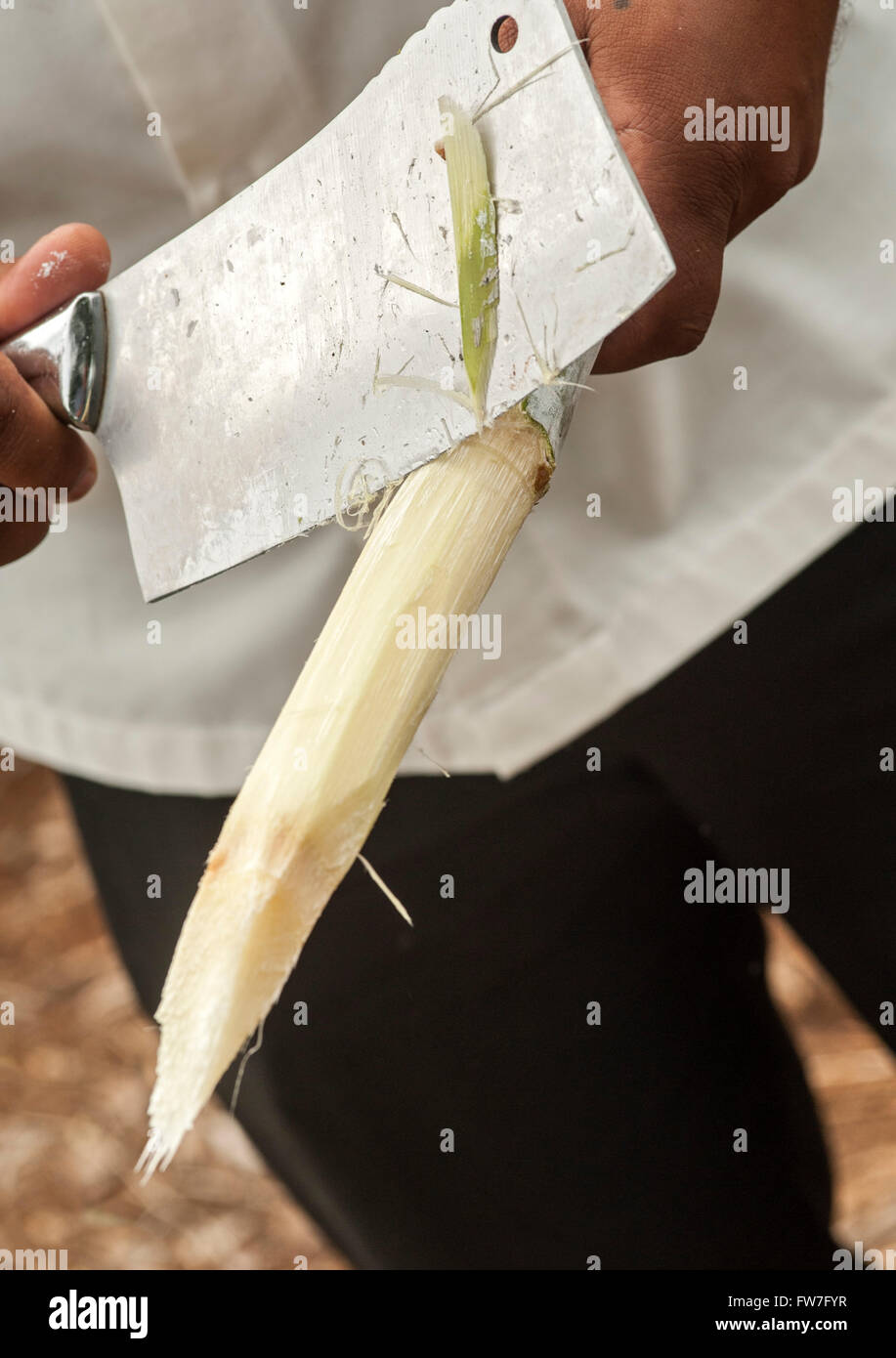 Zuckerrohr wird mit einem Beil gehäutet. Stockfoto